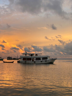 5 Lý Do Bạn Nên Đặt Tour Câu Cá Lớn Phú Quốc Ít Nhất Một Lần Trong Đời