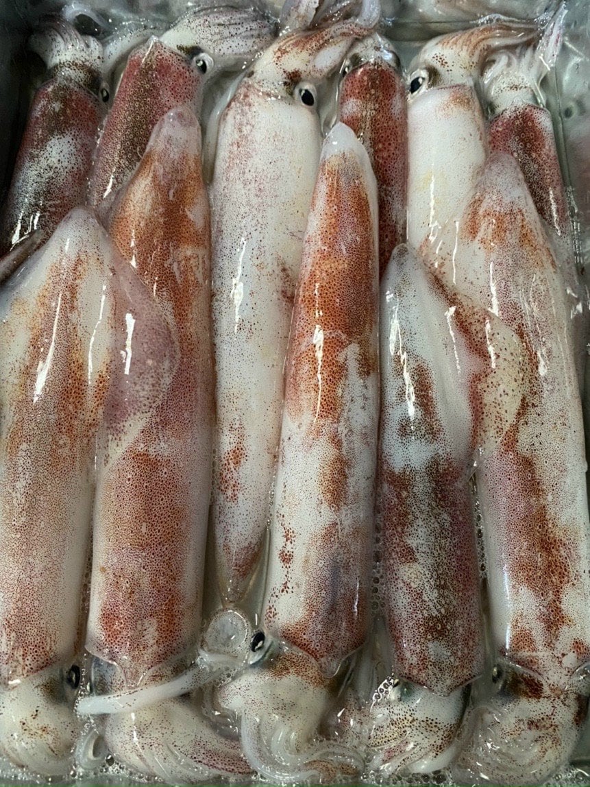 Mực ống tươi sẽ có những đốm nhỏ chuyển màu