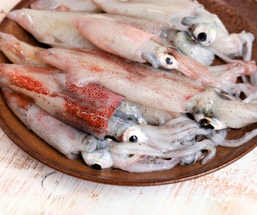 Mực ống Phú Quốc