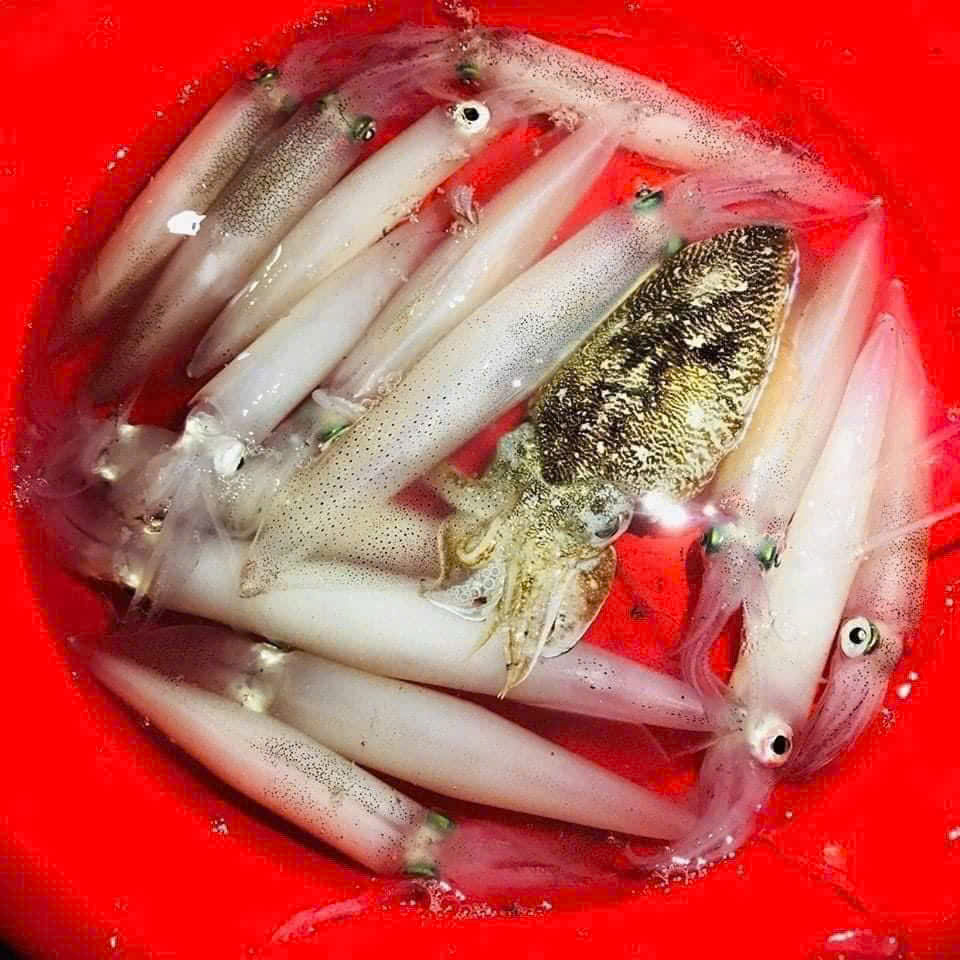 Kỳ Nghỉ Tết Nguyên Đán: Có Nên Đưa Cả Gia Đình Đi Tour Phú Quốc?