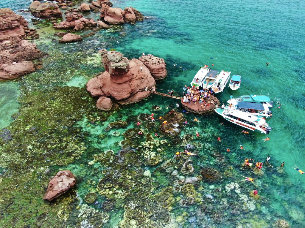 Hòn Gầm Ghì - Lặn ngắm san hô