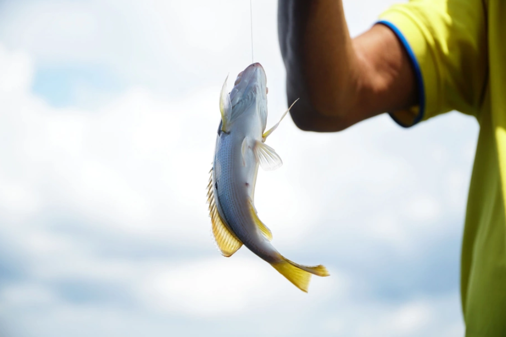 Tour Câu Cá Nhỏ Và Lặn Ngắm San Hô Phú Quốc: Hành Trình Khám Phá Đảo Ngọc