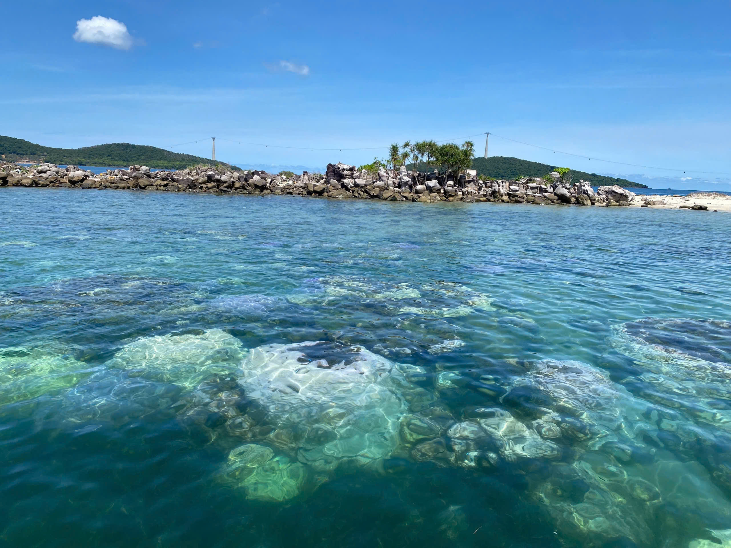 Tour Ngắm San Hô Phú Quốc: Cùng Con Khám Phá Đại Dương Giữa Lòng Đảo Ngọc