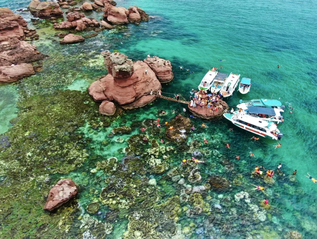 Cẩm Nang Khám Phá Các Tọa Độ Ngắm San Hô Đẹp Nhất Phú Quốc