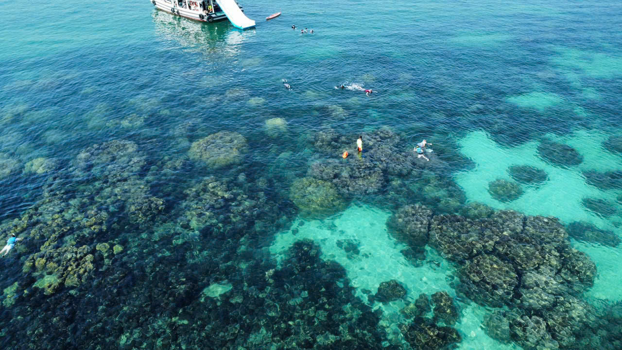 Đặt Tour Phú Quốc Giá Rẻ: Bí Quyết Du Lịch Thông Minh Và Trọn Vẹn