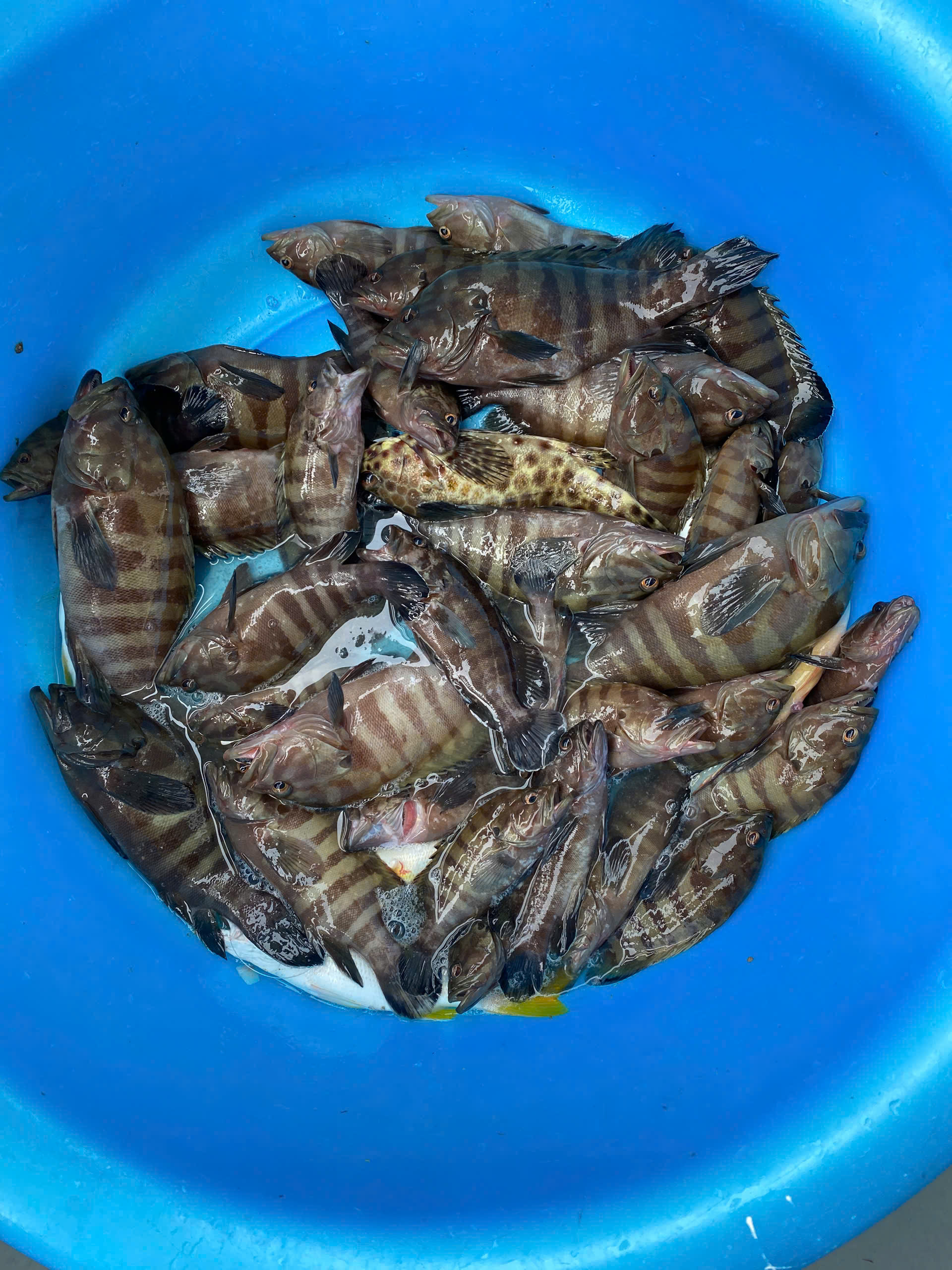 Đi Tour Phú Quốc Nên Chọn Lịch Trình Nào Theo Từng Đối Tượng Khách?