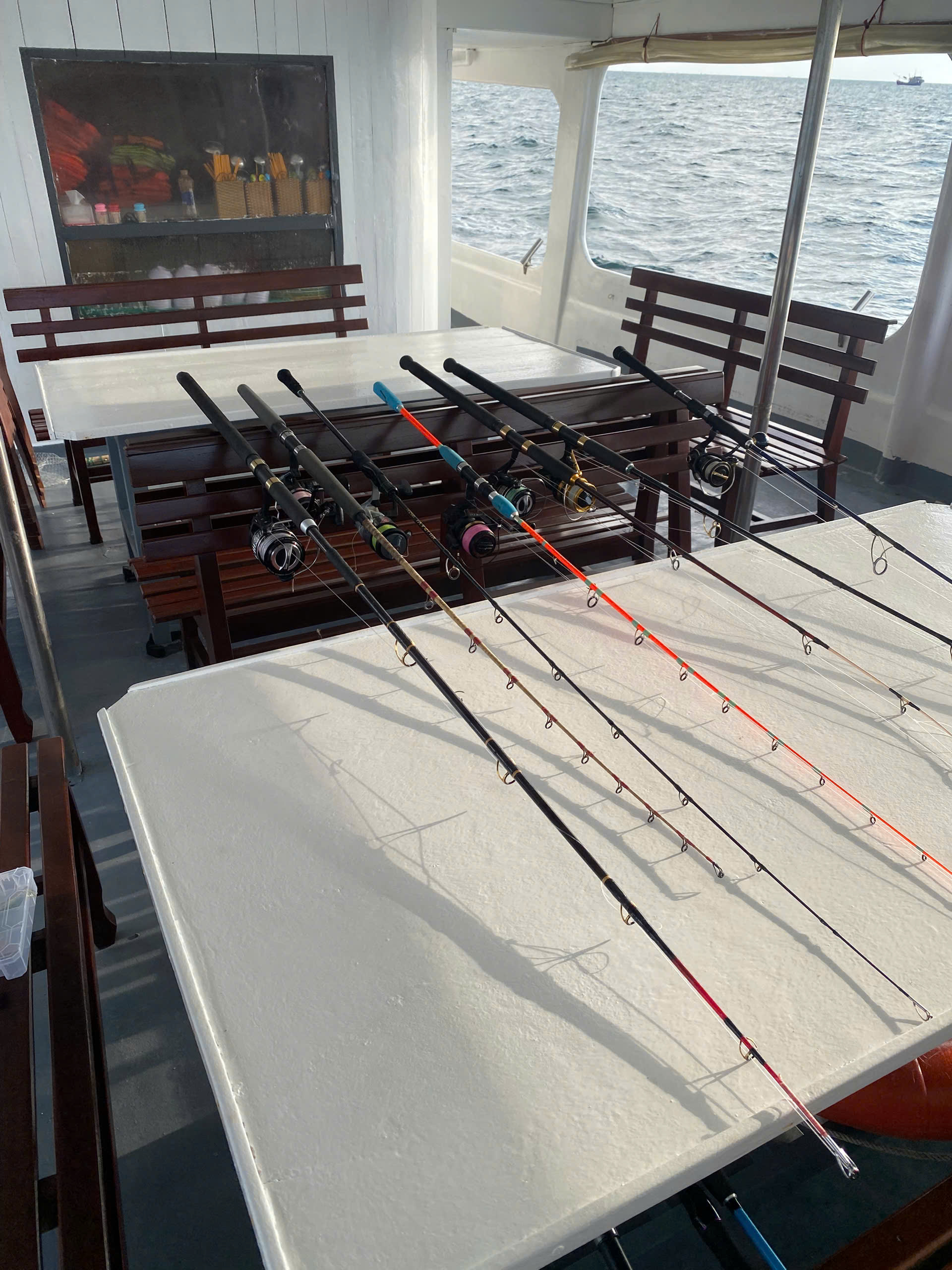 Những Khoảnh Khắc "Thu Hoạch" Đáng Nhớ Của Tour Câu Cá Lớn