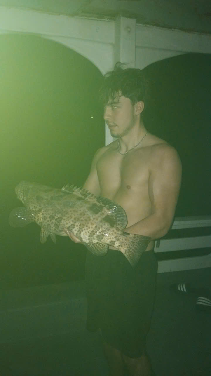 So Sánh Tour Câu Mực Đêm vs Tour Câu Cá Lớn Phú Quốc: Bạn Thuộc "Hệ" Nào?