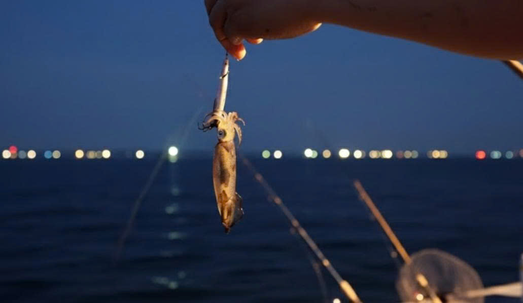 Tour Câu Mực Đêm Phú Quốc – Trải Nghiệm Độc Đáo, Thú Vị Và Đầy Hấp Dẫn