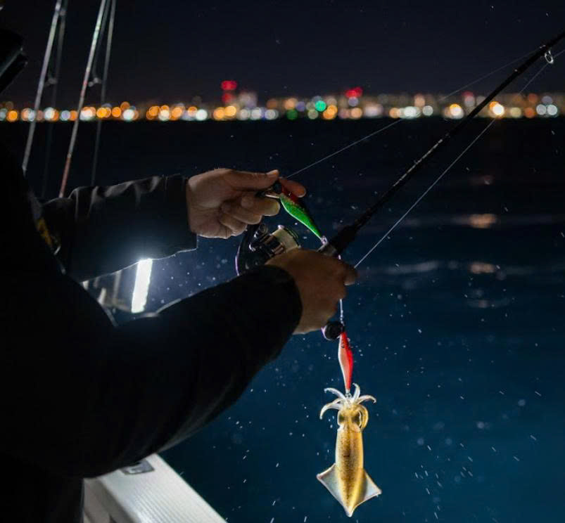 Tour Câu Mực Đêm Phú Quốc – Trải Nghiệm Nổi Bật Không Thể Bỏ Qua