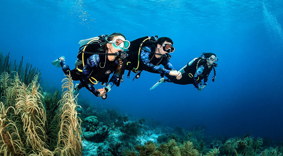  Tour Lặn Ngắm San Hô Phú Quốc Cùng Phương Nhi Tour