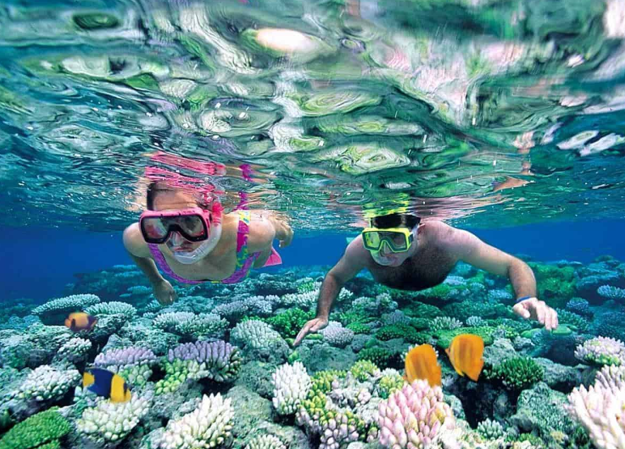  Tour Lặn Ngắm San Hô Phú Quốc Cùng Phương Nhi Tour