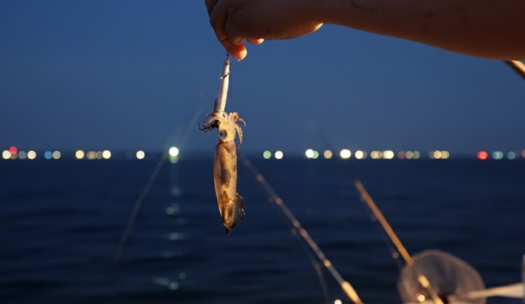 Ưu Điểm Tuyệt Vời – Tại Sao Tour Câu Mực Đêm Là Trải Nghiệm "Phải Thử" Tại Phú Quốc